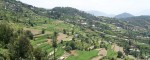 Chail 