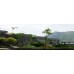 Lotus Resorts Udaipur