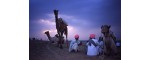 Rajasthan With North India Tour