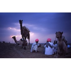 Rajasthan With North India Tour